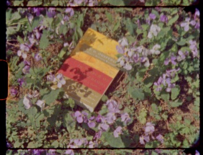 1-3 opakowania Kodak Vision3 S – Instant Film Pack recenzja i cena